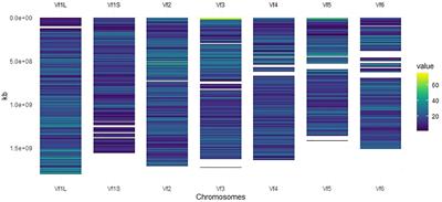 Genome-wide association study for yield-related traits in faba bean (Vicia faba L.)